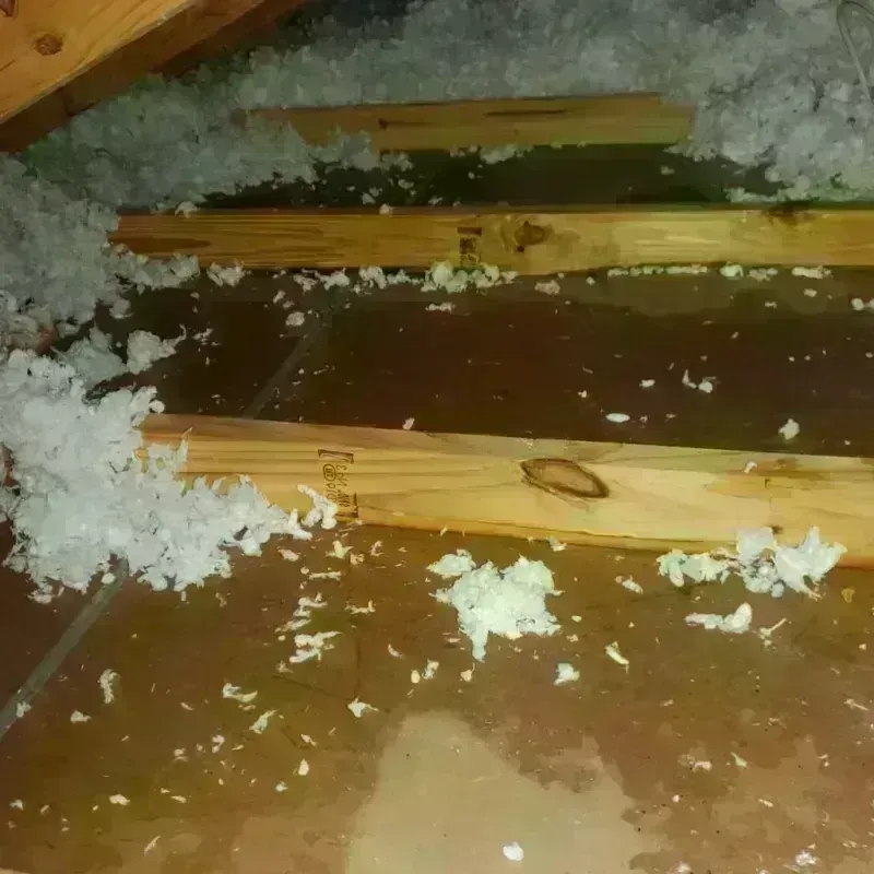 Attic Water Damage in Montgomery County, GA