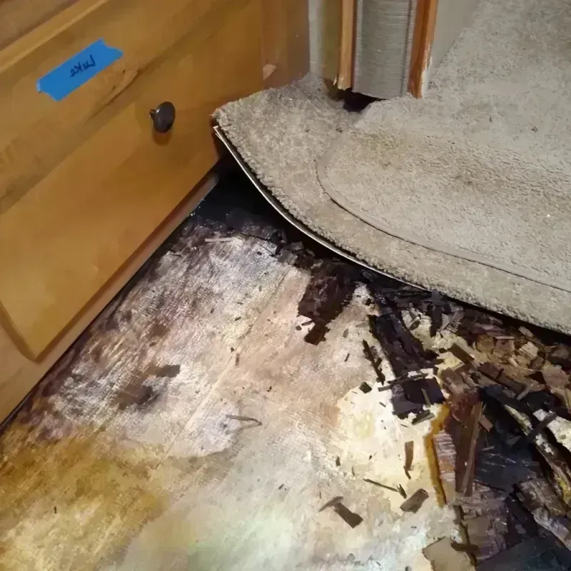 Wood Floor Water Damage in Montgomery County, GA